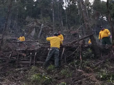Probosque realiza jornada silvicultural en Tianguistenco, Edomex