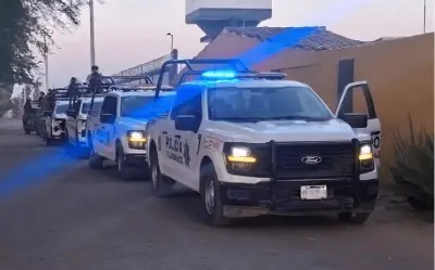 Recuperan 19 vehículos robados en Tlajomulco; detienen a 48 personas