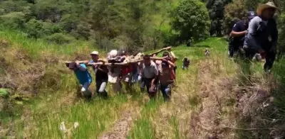 Rescatan con vida a hombre perdido en sierra de Hidalgo