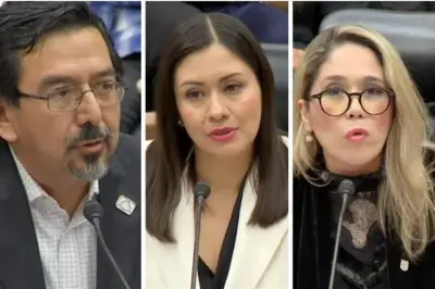 Reservan por 5 años datos de elección de consejeros del INE