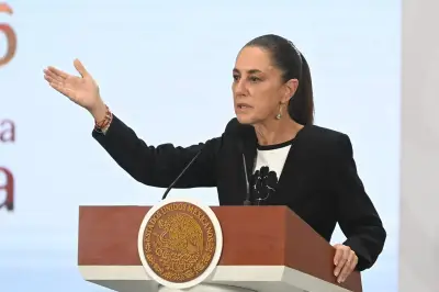 Sheinbaum niega que consulados mexicanos hagan política en EU