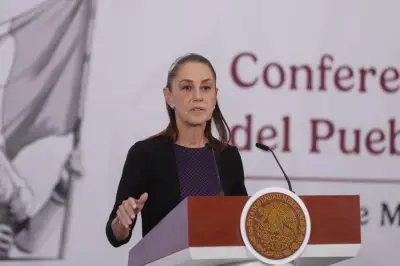 Sheinbaum propone conservar seis semanas de vacaciones escolares