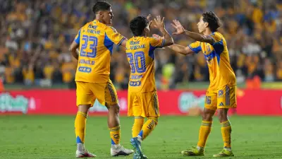 Tigres vence 3-1 a Chivas y acaricia semifinales de la Liguilla
