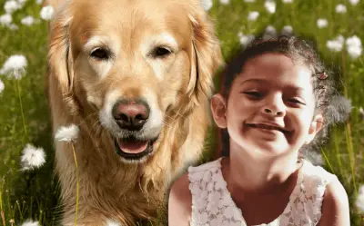 Top 5 perros mejor portados: guía definitiva antes de adoptar
