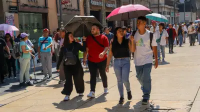 Veracruz sufre sensación térmica de 50°C por intensa onda de calor