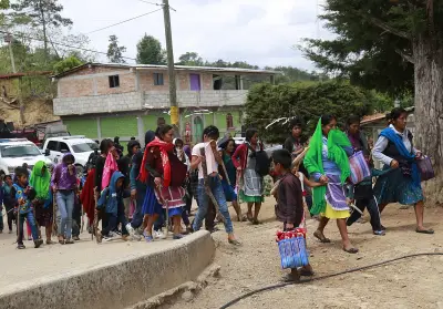 Violencia en Chilapa, Guerrero: desplazados y grupos criminales