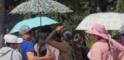 Alerta por calor en México: 13 muertos y 442 emergencias