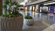 Balacera en Plaza La Antigua interrumpe festejos del Día de las Madres en Atizapán