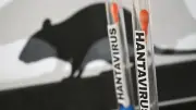 Barco con 149 personas en cuarentena por presunto brote de hantavirus