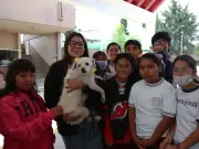 Bienestar animal: 4 mil alumnos capacitados en Edomex