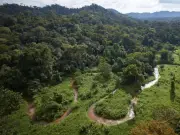 Cambio climático amenaza con extinguir hasta el 16% de plantas para 2100