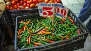 Chile serrano vs jalapeño: diferencias y usos en la cocina