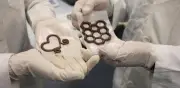 Científicos mexicanos crean alimentos con impresoras 3D usando IA