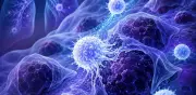 Cáncer de pulmón de células pequeñas: inmunoterapia extiende supervivencia