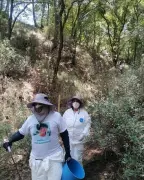 Colectivo Lirios halla restos óseos y cuerpo de hombre en Edomex