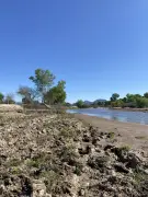 Comunidades denuncian posible carpetazo al caso Río Sonora