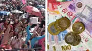 Consulta el estatus de la Beca Rita Cetina: guía rápida y práctica