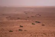 Desaparecen militares de EU tras maniobras en Marruecos