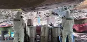 Desmantelan cinco narcolaboratorios en Jalisco, Nayarit y Sinaloa