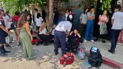 Enjambre de abejas ataca a 100 personas en escuela de Cuautla, Morelos