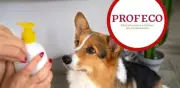 Este es el mejor shampoo para perros según Profeco y veterinarios