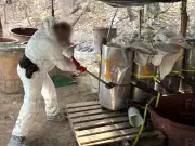 FGR investiga dueños de narcolaboratorio en Morelos, Chihuahua