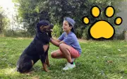 Guía para adoptar perro en Guadalajara: refugios y requisitos