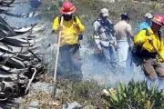 Incendio forestal afecta altiplano de Tamaulipas