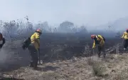 Incendio forestal en El Pinar, Zapopan moviliza a más de 50 combatientes