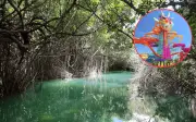 Mahahual: 5 claves del conflicto en manglares de Quintana Roo