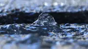 Megafuga de agua en Iztapalapa por ruptura de tubería de 40 pulgadas