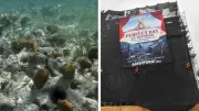 Más de 4.1 millones firman contra megaparque acuático en Mahahual