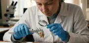 Muela neandertal en Siberia revela posible cirugía dental antigua