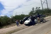 Muere tras alborotar a abejas en NL