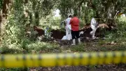 México: 157 fosas clandestinas en cuatro meses; Sinaloa lidera lista