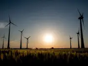 México avanza en energías limpias pero no a la velocidad necesaria