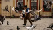 México combate trabajo infantil rumbo al Mundial 2026