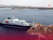 México emite alerta por Hantavirus tras brote en crucero internacional