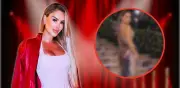 Ninel Conde causa polémica con foto falsa de la Met Gala 2026