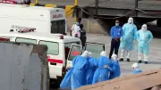 OMS confirma cinco casos de hantavirus y advierte por más