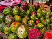 Pitayas en Guadalajara: tradición sin apoyo municipal