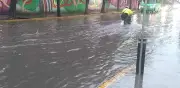 Pérdida de áreas verdes agrava inundaciones en CDMX