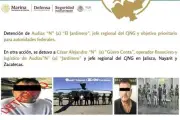 Presumen captura de al menos 9 capos en 25 días
