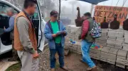 Profepa asegura 11 animales en operativo contra tráfico ilegal en Puebla
