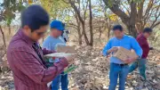Profepa rescata 99 aves silvestres en mercado de Guadalajara