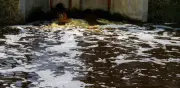 PVEM propone reutilizar agua en grandes comercios y hoteles de CDMX