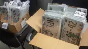 Reemplacamiento mayo 2026 Edomex: autos con placas 3 y 4 deben renovar