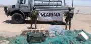 Semar asegura redes de pesca prohibidas en Sonora
