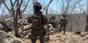 Semar: más de mil detenciones en Colima con Operación Pez Vela