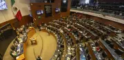 Senado maltrata a comunidad sorda invitada a seminario